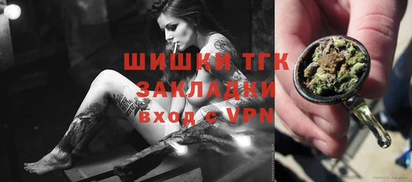 гашик Арсеньев