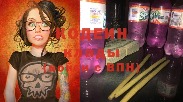 гашик Арсеньев