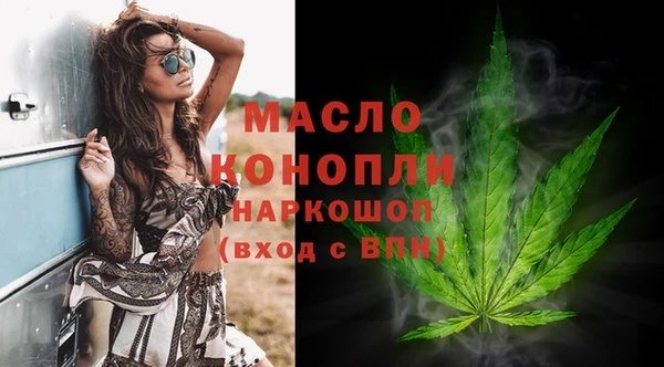 гашик Арсеньев