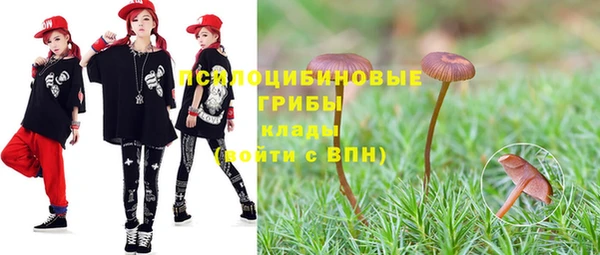 гашик Арсеньев