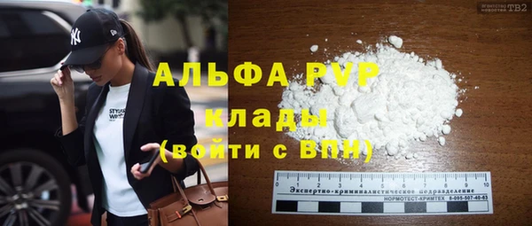 гашик Арсеньев