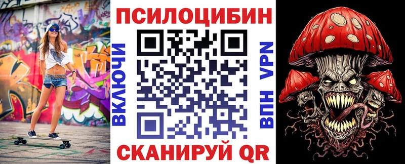 закладки  Голицыно  Псилоцибиновые грибы GOLDEN TEACHER 